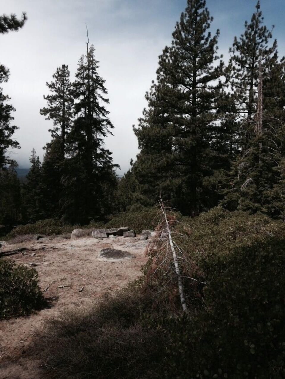 Cold Creek and the Power LineTrail hikes can be accessed mere steps from the home