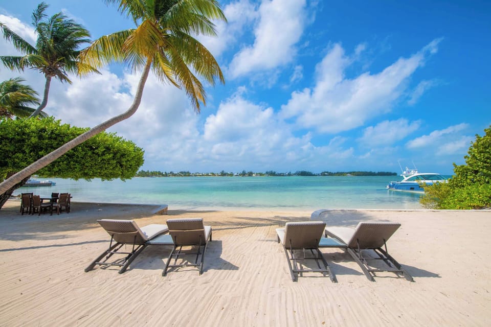 Sun loungers on beach.