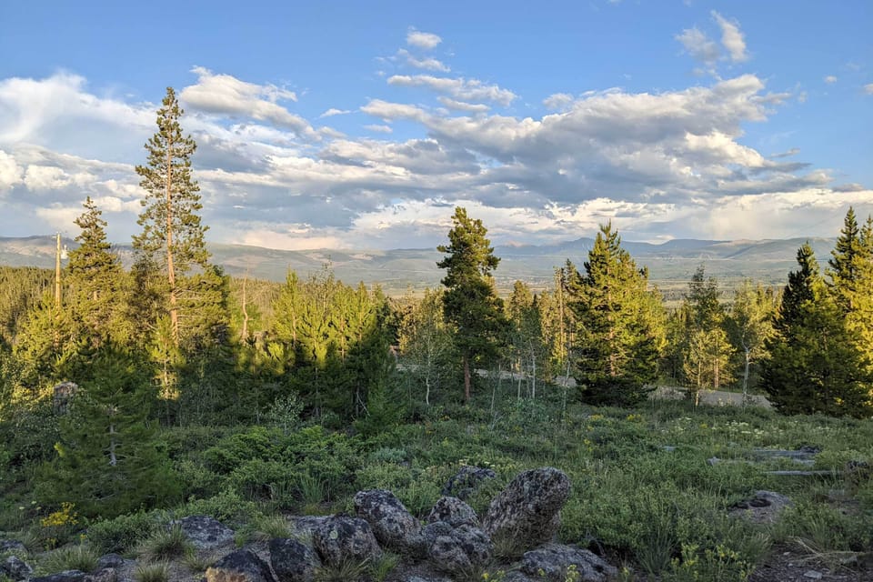 View from Bench Swing