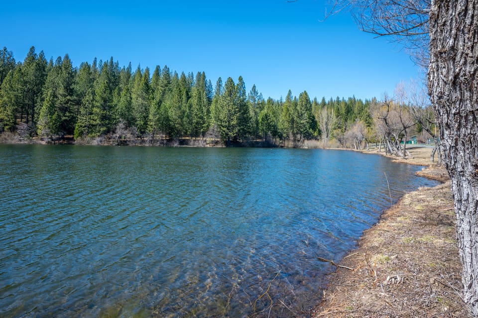 White Pines Lake