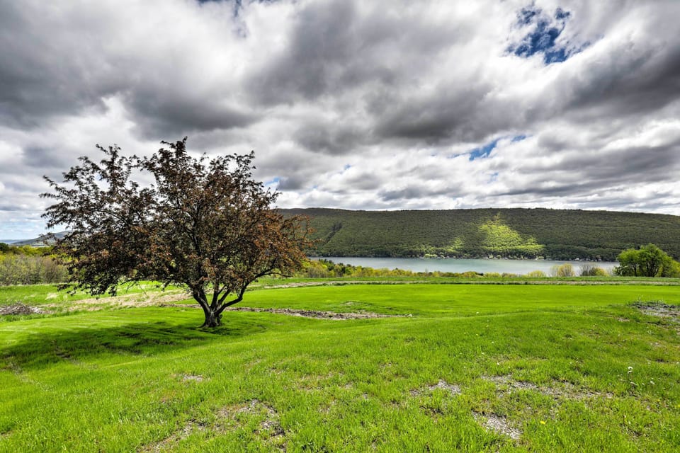 Property Views