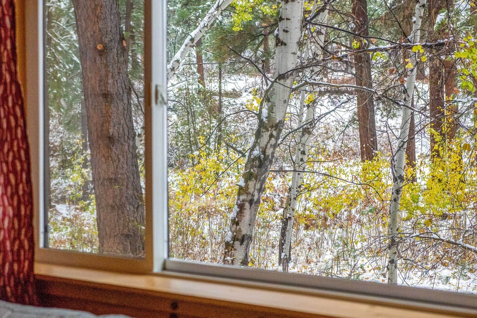 Wood Views