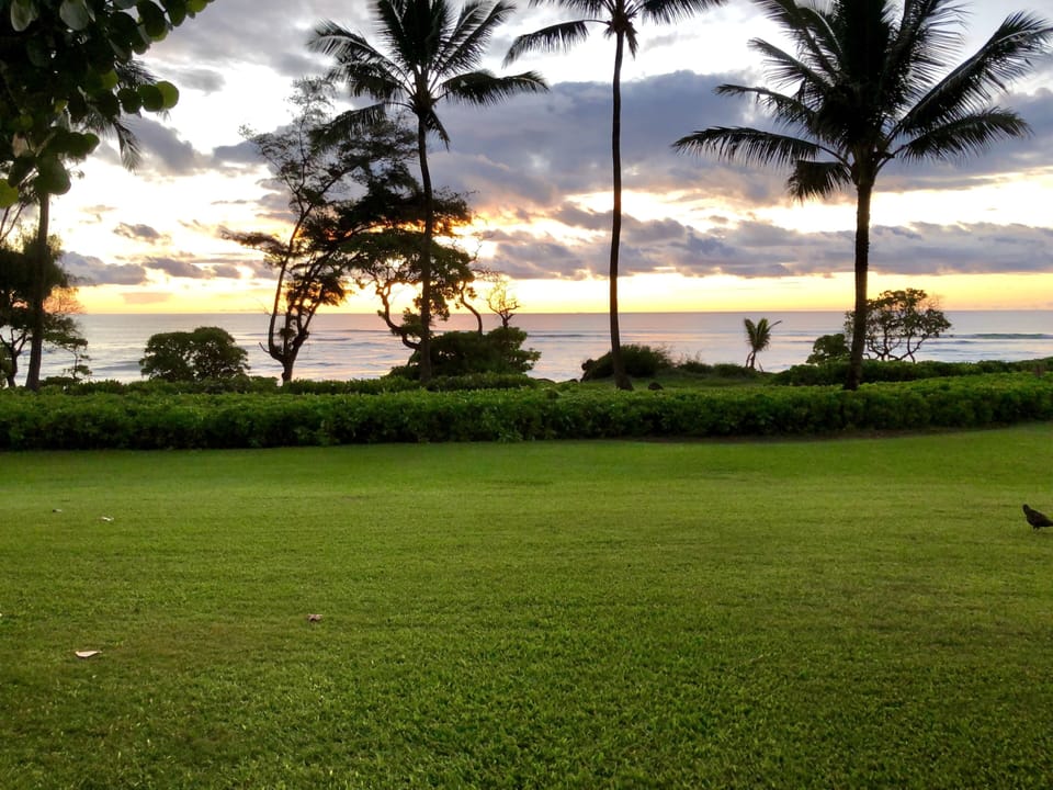 Sunrise from your lanai