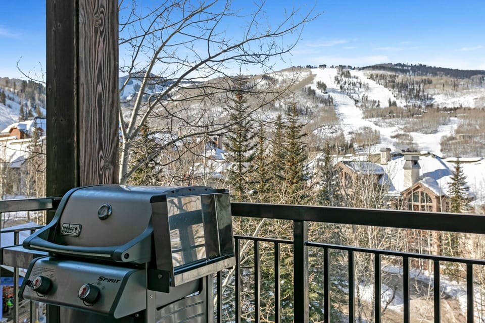 Balcony features a gas grill and firewood storage