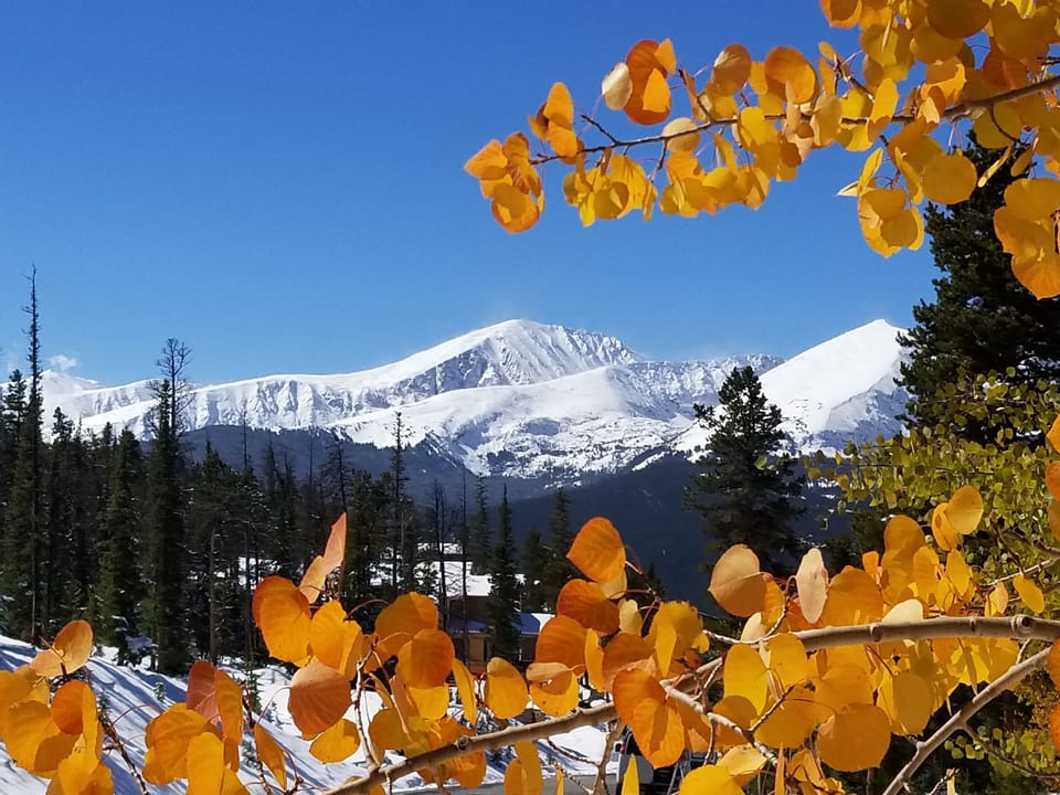 Breck Fall