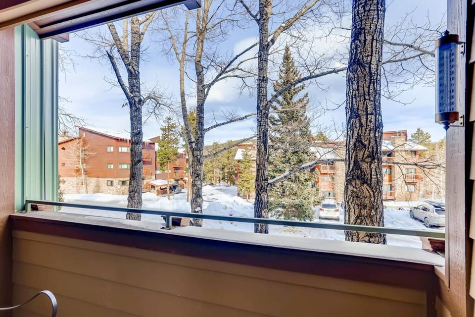 Wintery View of from the Balcony - Inhale the Mountain Air!