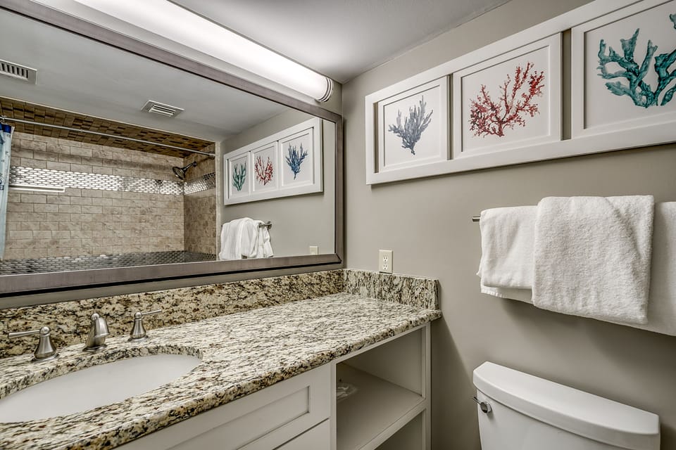 Guest bathroom