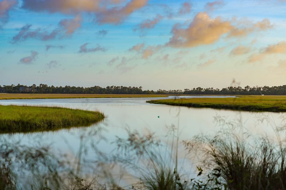Kiawah Island river/marsh