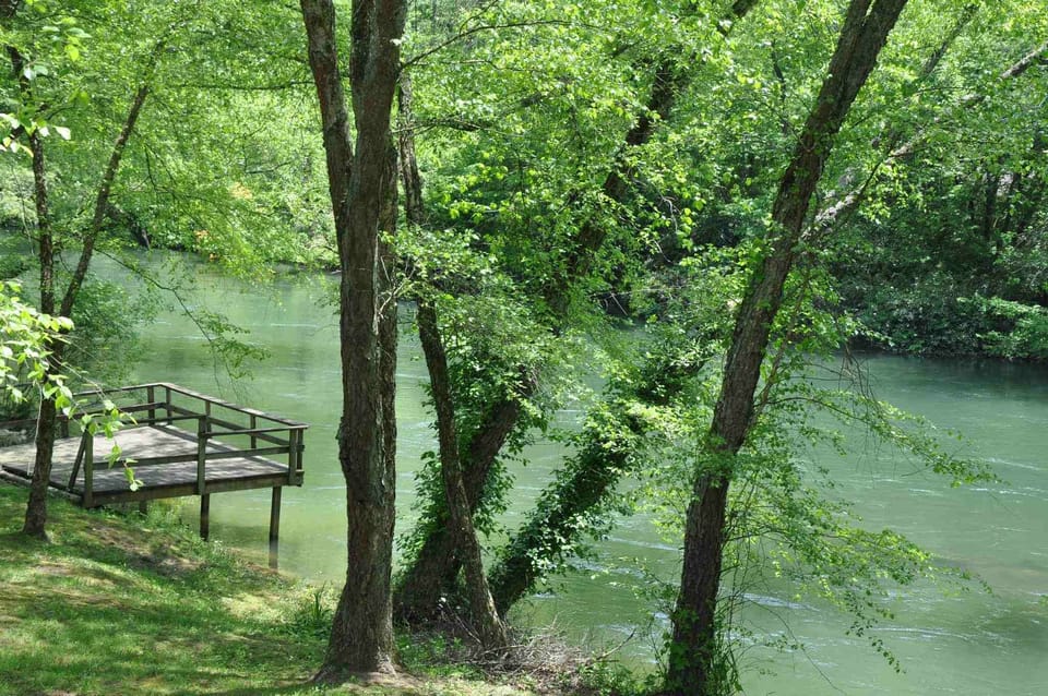 Toccoa FishTrap|Family Fun and Dog Friendly|Enchanted Mountain R