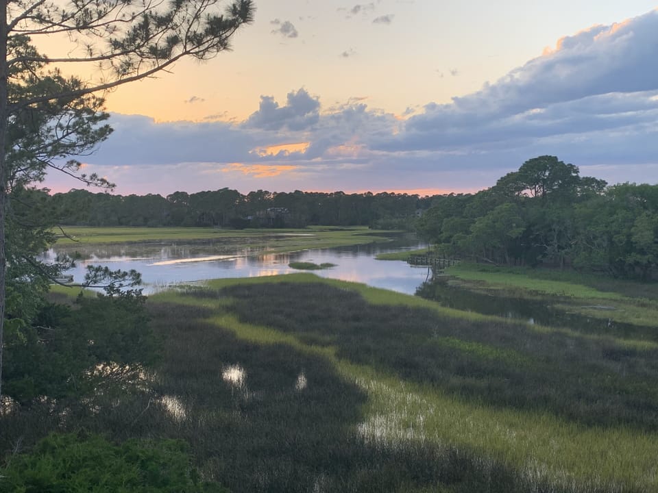 Marsh View