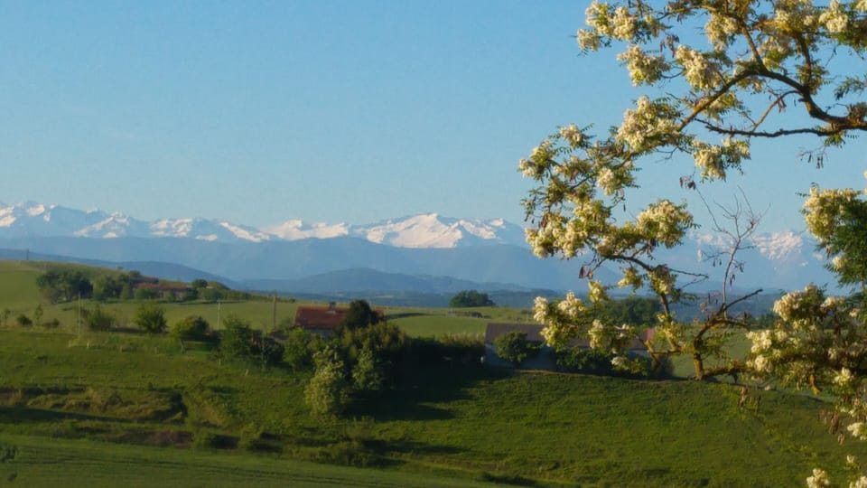 Pyrenees