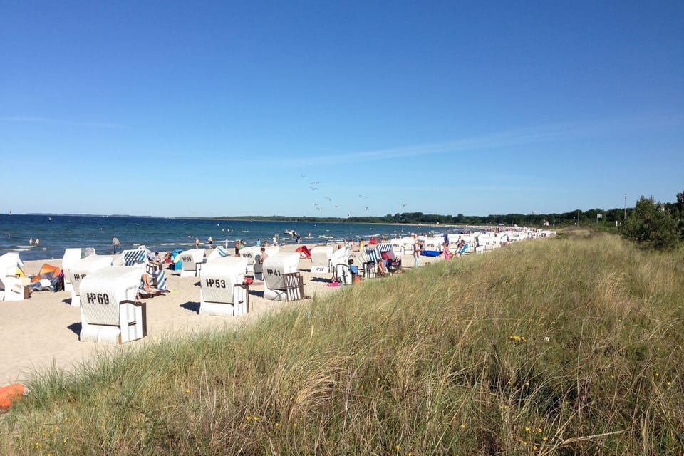 Immediate Surroundings [summer] (<1 km)