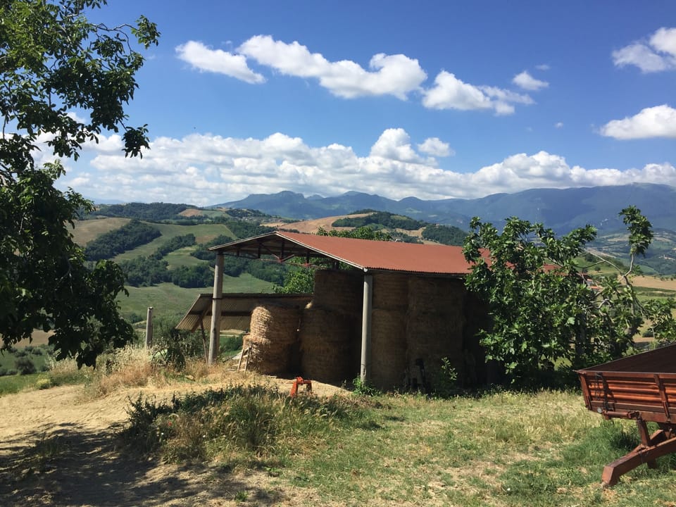 Barn on land belonging to La Casa Rosa
