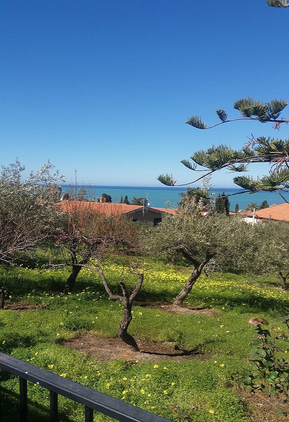 View from property