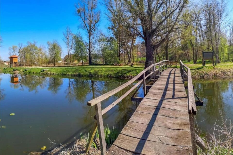 Region [summer] (>5 km)