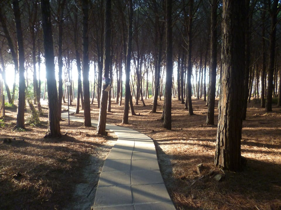 - WALKWAY TO BEACH AT COMPLEX
