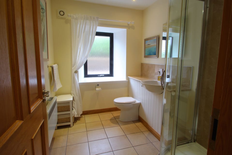 Downstairs shower rom