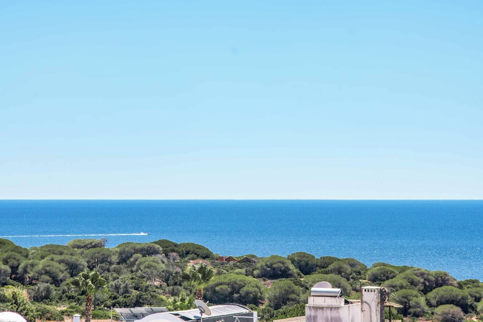 Beach/ocean view
