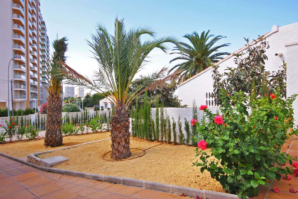 Pleasant summer villa with private pool in Calpe (Costa Blanca) for 12 people, with six bedrooms and four bathrooms, spread over two floors. It has air conditioning in the living room and in all bedrooms.INTERNAL: This villa consists of the GROUND FLOOR, which consists of a living-dining room with TV SAT/TDT, air conditioning, an American bar and access to the terrace and the pool. A fully equipped separate kitchen with dishwasher and ceramic hob. Two bedrooms each with a double bed. There is also a bathroom with a shower. The UPPER FLOOR consists of three bedrooms, each with two single beds, two of them with a bathroom with shower en suite. A double bedroom and finally a washroom.EXTERNAL: A large 10x5 pool fenced for child safety with roman steps and outside shower. There is also a built in barbecue and parking for 4 vehicles on the same property.LOCATION: Without a doubt, an unbeatable location, just 250 m from the nearest supermarket and restaurants. The sandy beach with all services is only 650 m away. There is also a cove 400 m away and Calpe town center 3 km away.REMARKS: Free wifi. Pets up to 12 kg are allowed at an additional cost.