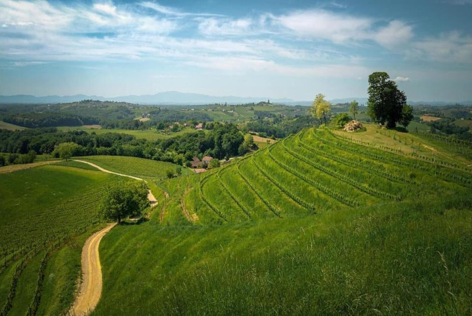 Region [summer] (>5 km)