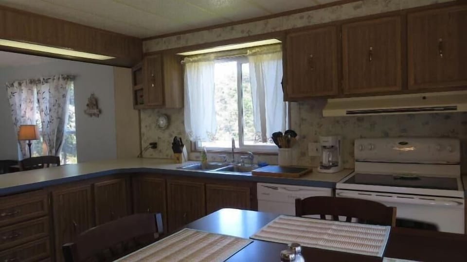 electric range & dishwasher