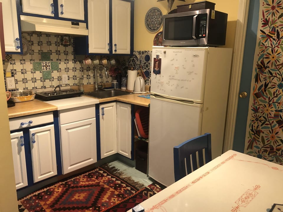Kitchenette with ceramic electric hot plate for cooking. Microwave and fridge.
