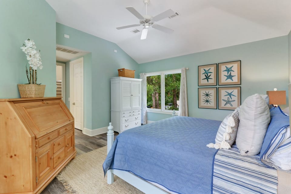 7 Piping Plover - King/Queen (Mid-Level)