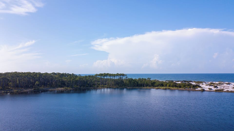 143 Forest Street - Seagrove Beach - Lifestyle Image