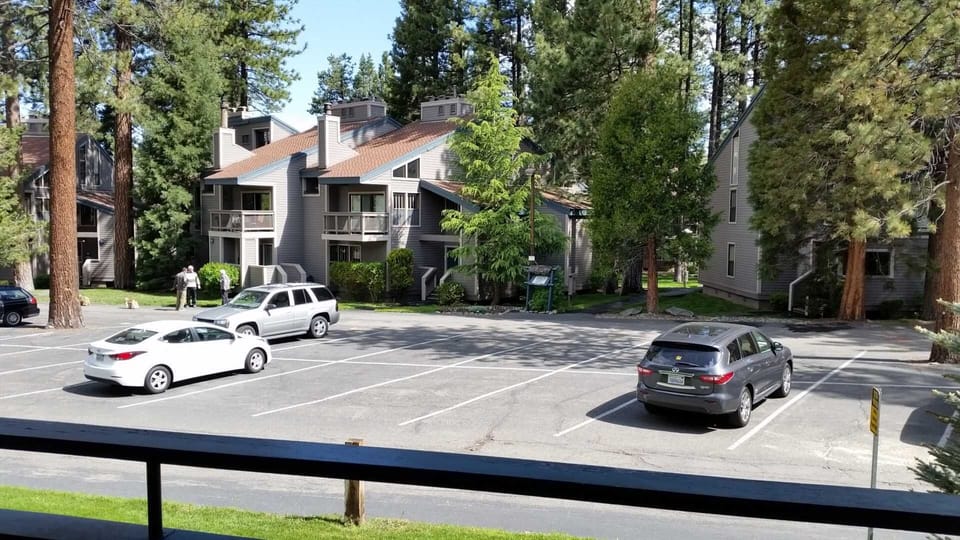 Quiet view of trees from Patio