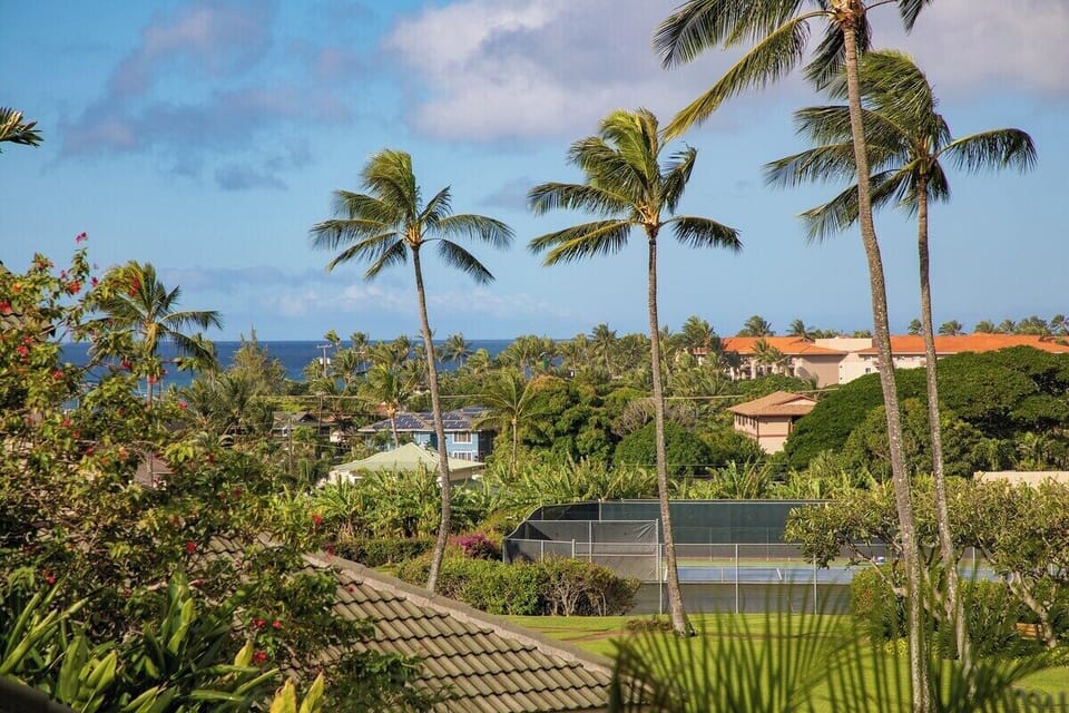 Views - Manualoha 902