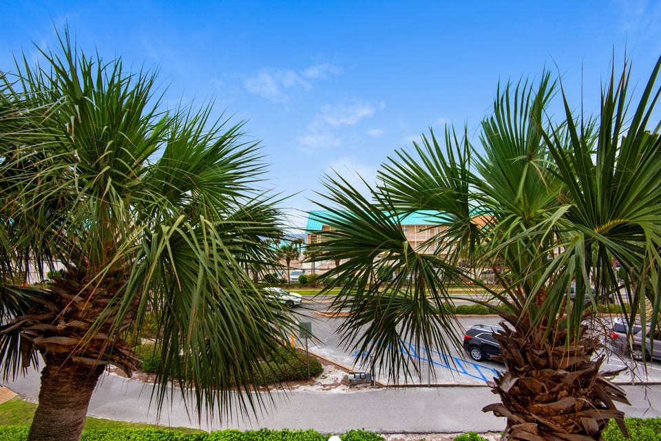 Peak-a-boo Gulf views