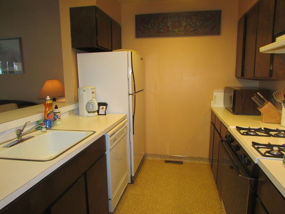 kitchen with dishwasher, gas stove, small but very functional