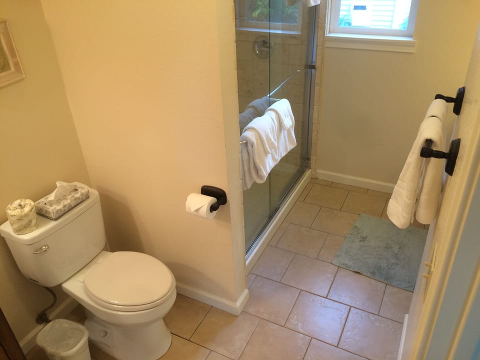 primary bathroom - primary bathroom