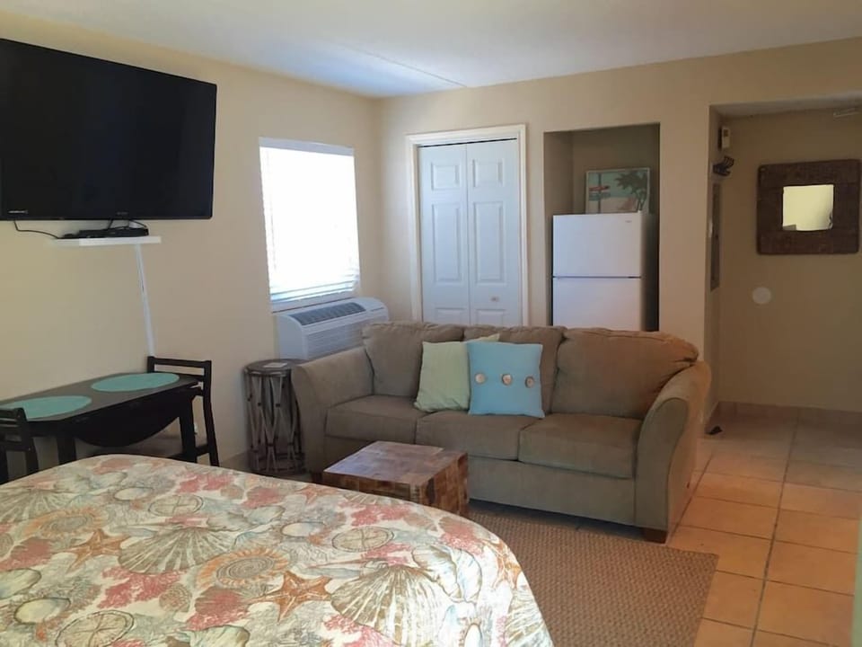 50" TV &amp; queen sofa sleeper