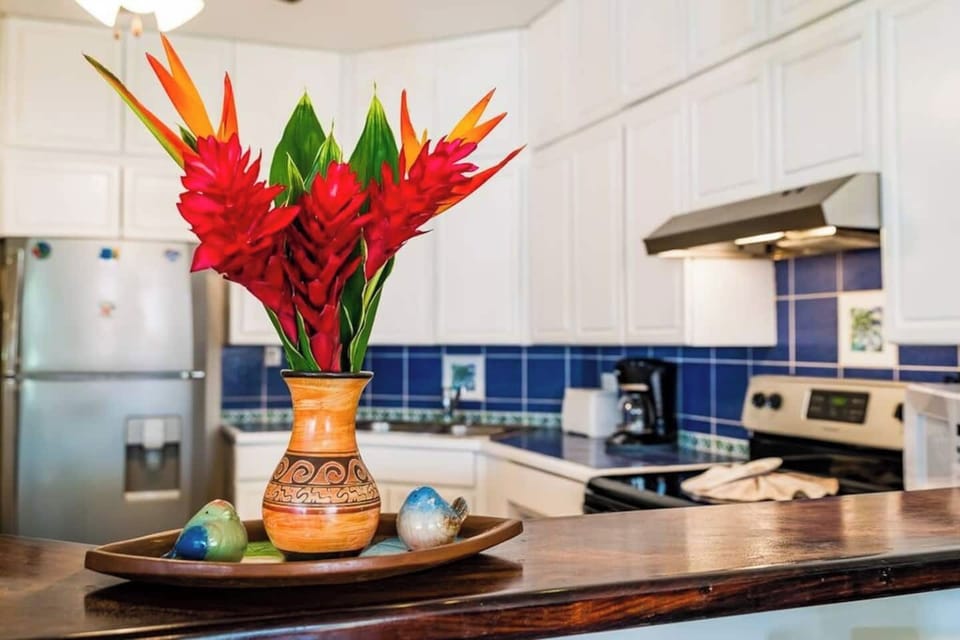 Enjoy all the colors and shapes that the tropics have to offer!