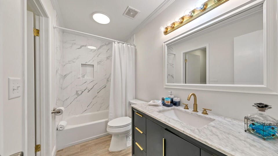 Master Bathroom With Tub and Shower Combo