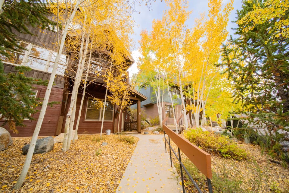 Walkway to Cabin in the Pines 4 #fall