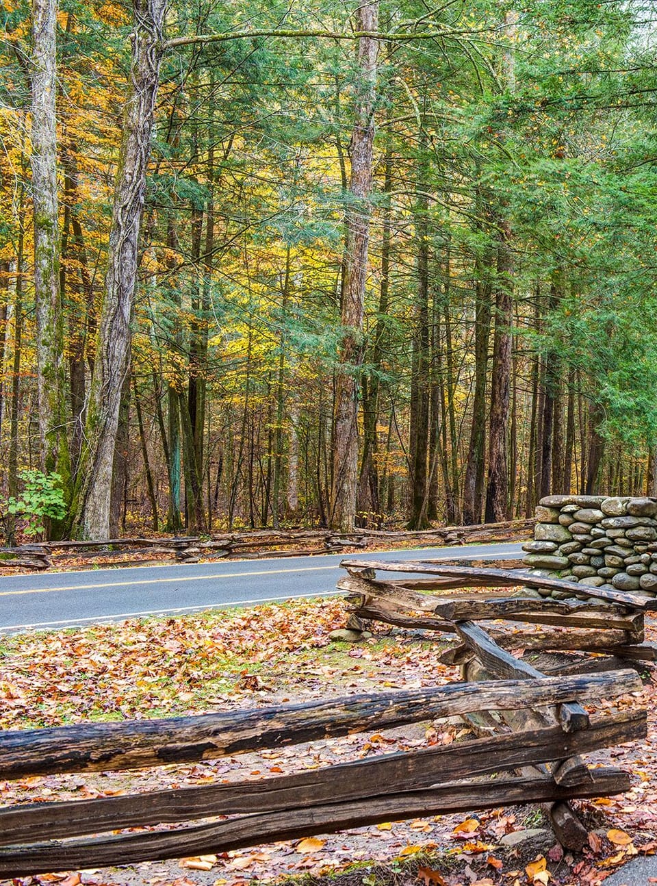 Adventure Awaits in Great Smoky Mountains National Park