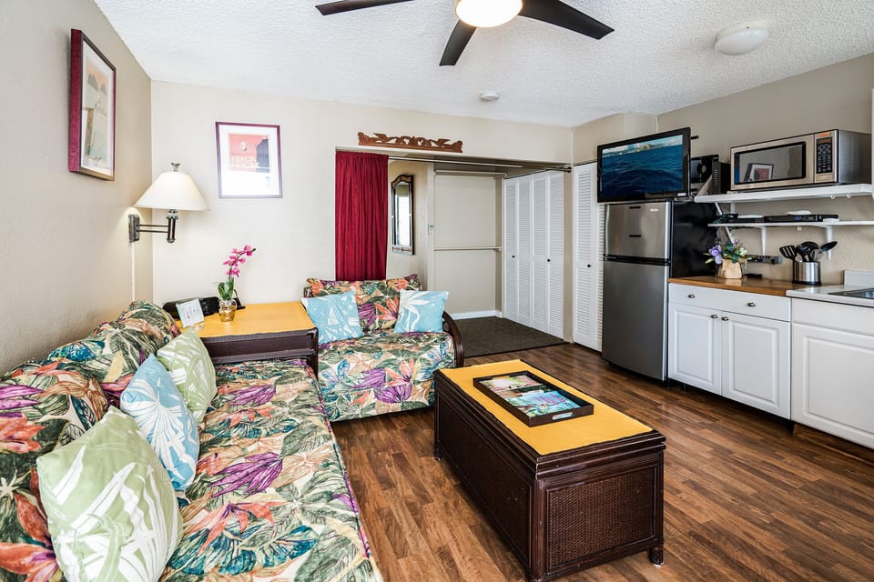 Living Room with Flat Screen TV and 2 twin beds