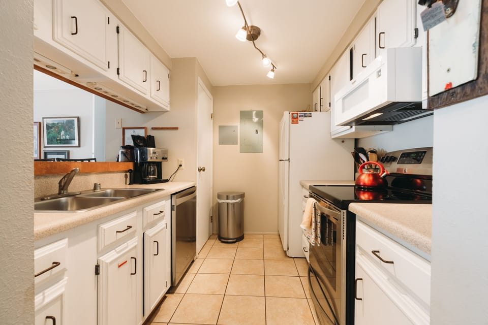 Kitchen with basic cooking needs (salt & pepper, oil)