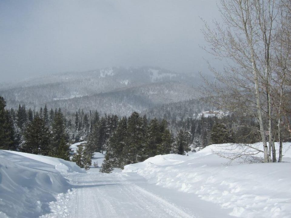 We get plenty of snow here in the wintertime!