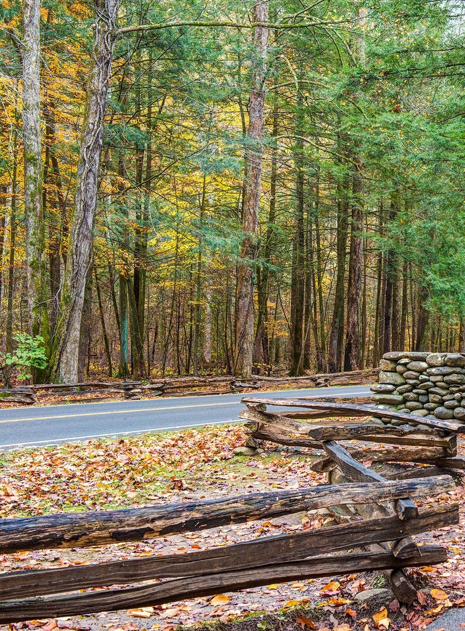 Adventure Awaits in Great Smoky Mountains National Park