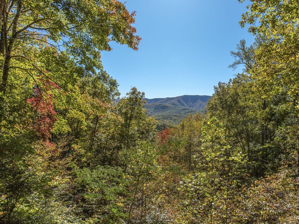 Mountian View