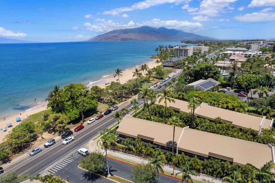 Maui Banyan Aerial View