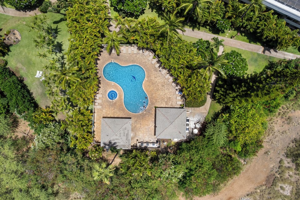 Maui Banyan Aerial View - Pool