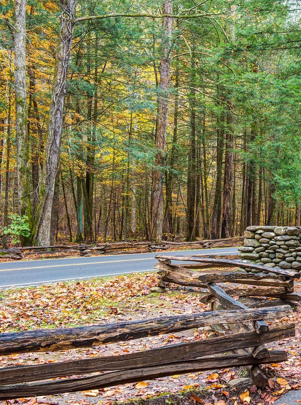 Adventure Awaits in Great Smoky Mountains National Park