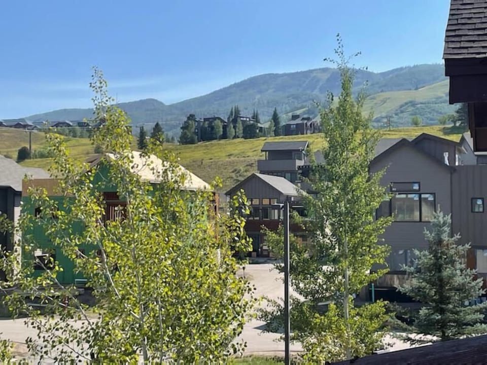 Houses with green and gray exteriors surrounded by trees and hills on a clear day with mountains in the background.