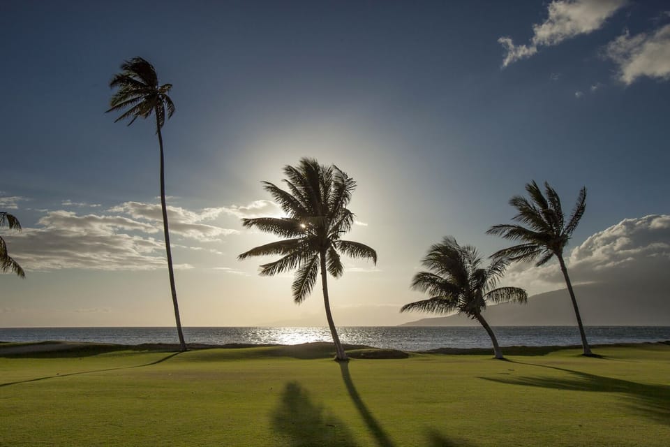 Maui Sunset Oceanfront Lawn