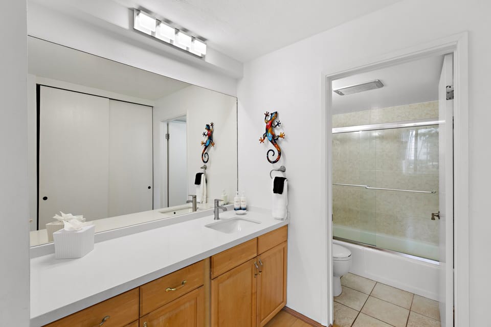 Large single-sink vanity with mirror