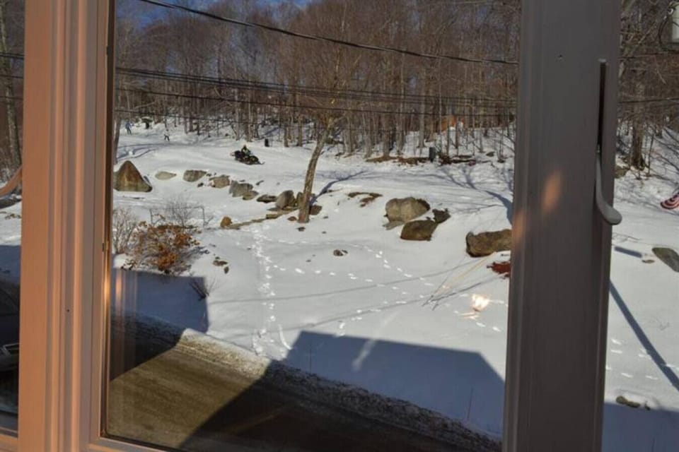 View of Great Eastern ski trail from the condo.